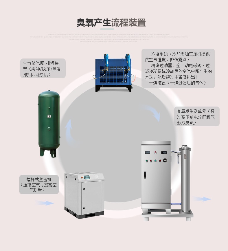廣州佳環(huán)出口日本臭氧發(fā)生器200克氧氣臭氧機